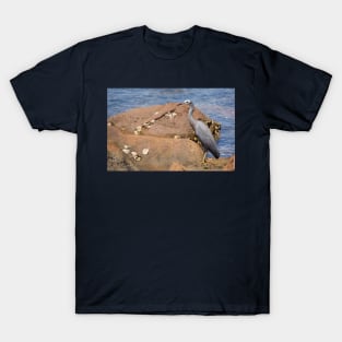 heron at the beach T-Shirt